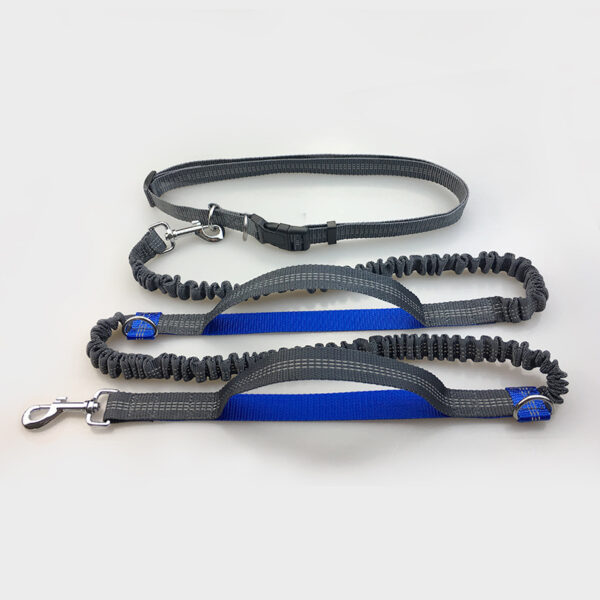 1076503899536.jpg Amazon direct pet supplies multi-function running reflective pull dog leash double elastic dog leash traction
