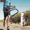 13c644bb-de98-48b4-862c-7eed55a483d4.jpg Amazon direct pet supplies multi-function running reflective pull dog leash double elastic dog leash traction