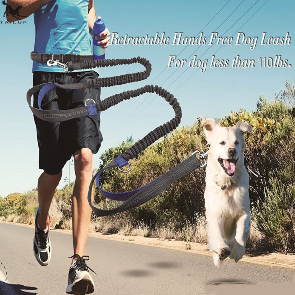 13c644bb-de98-48b4-862c-7eed55a483d4.jpg Amazon direct pet supplies multi-function running reflective pull dog leash double elastic dog leash traction
