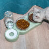 1617677851613.jpg Pet Cat Bowl Automatic Feeder Dog Cat Food Bowl With Water Fountain Double Bowl Drinking Raised Stand