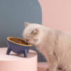 1620903329867.jpg Raised cat feeding bowl with a 15-degree tilted design
