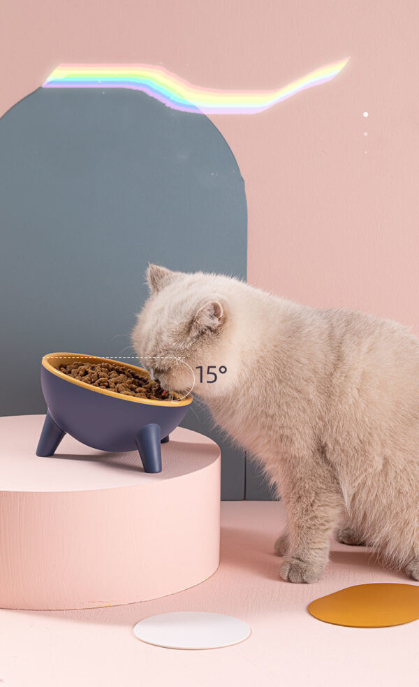 1620903329867.jpg Raised cat feeding bowl with a 15-degree tilted design