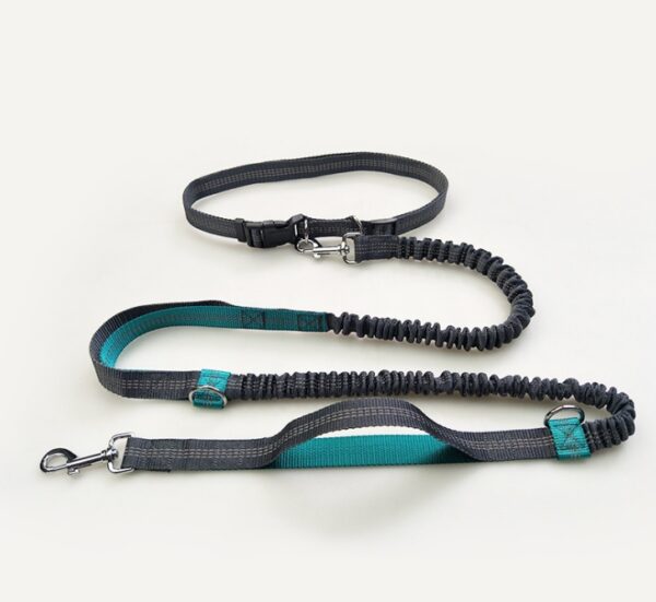 1649101959639.jpg Amazon direct pet supplies multi-function running reflective pull dog leash double elastic dog leash traction
