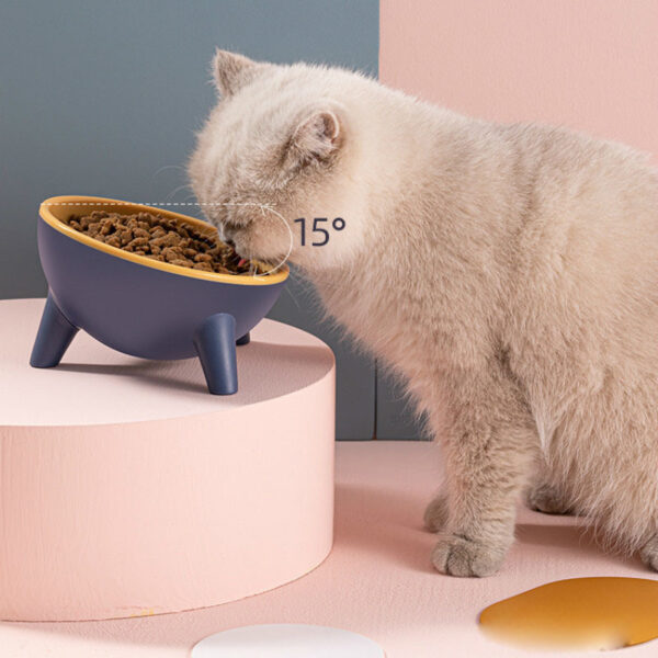 18298015-a561-4d09-a87b-57738c035719.1 Raised Cat Bowl with 15° Tilted Stand