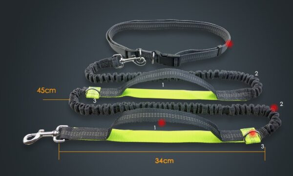 2842660617174.jpg Amazon direct pet supplies multi-function running reflective pull dog leash double elastic dog leash traction