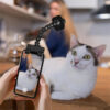 Pet Selfie Phone Clip for Treats & Toys product image