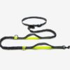 4992973630228.jpg Amazon direct pet supplies multi-function running reflective pull dog leash double elastic dog leash traction