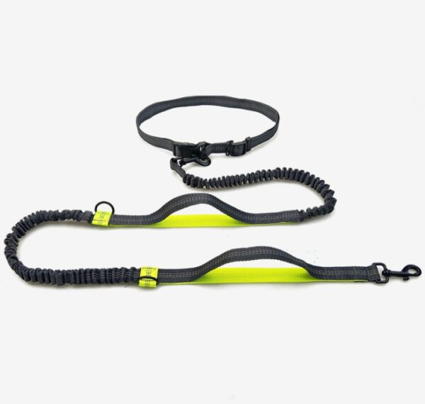 4992973630228.jpg Amazon direct pet supplies multi-function running reflective pull dog leash double elastic dog leash traction