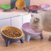 518791b6-c3bf-457c-9804-d7c2bd495d82.jpg Cat using a raised feeding bowl with a 15-degree tilt