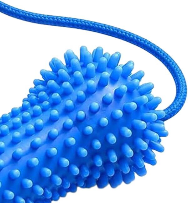 Textured Dog Toothbrush Chew Toy