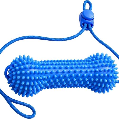 Textured Dog Toothbrush Chew Toy