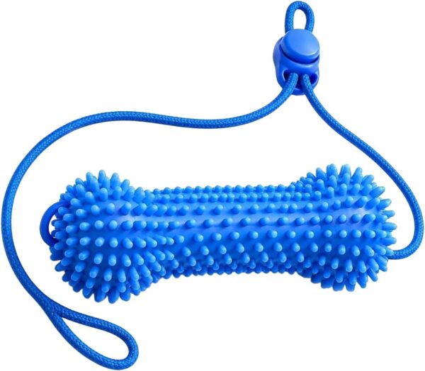 Textured Dog Toothbrush Chew Toy