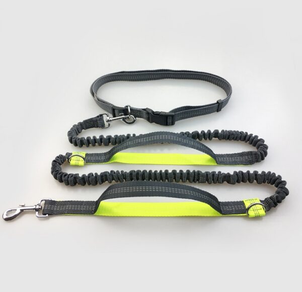 88140643636.jpg Amazon direct pet supplies multi-function running reflective pull dog leash double elastic dog leash traction