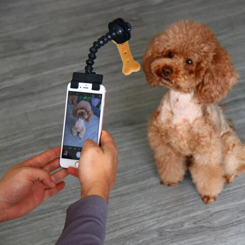 Pet Selfie Phone Clip for Treats & Toys product image Pet Selfie Phone Clip for Treats & Toys product image