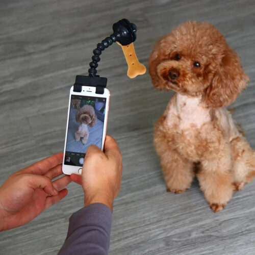 8a97e0ee-cf3d-46f5-9e8a-4de0d6b787cb.jpg Pet Photography Tool Cat Dog And Dog Viewing Lens Teddy Camera Toy Mobile Phone Camera Holder Selfie Clip Supplies Pet Products