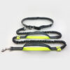 9590954111760.jpg Amazon direct pet supplies multi-function running reflective pull dog leash double elastic dog leash traction