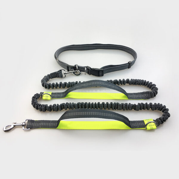 9590954111760.jpg Amazon direct pet supplies multi-function running reflective pull dog leash double elastic dog leash traction