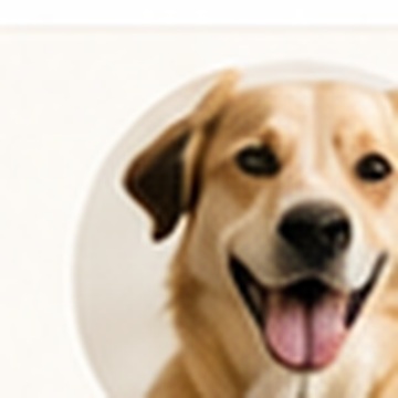 Dogs