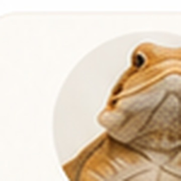 Reptiles