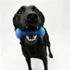Textured Dog Toothbrush Chew Toy