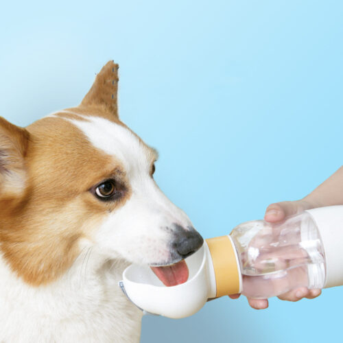 Portable Dog Water Bottle with Wide Drinking Cup product image Portable Dog Water Bottle with Wide Drinking Cup product image