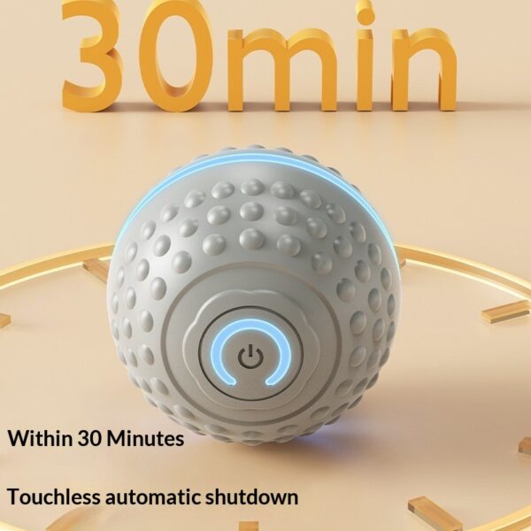 Silicone Rolling Ball Toy for Dogs product image