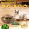 Magnetic Multi-Shape Cat Scratcher Toy product image Magnetic Multi-Shape Cat Scratcher Toy product image