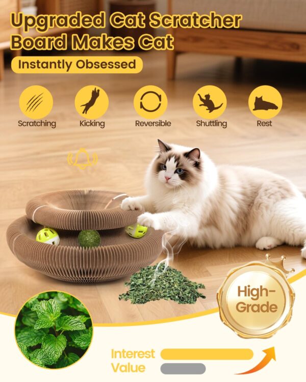 Magnetic Multi-Shape Cat Scratcher Toy product image Magnetic Multi-Shape Cat Scratcher Toy product image