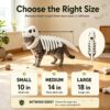 Dinosaur Skeleton Pet Costume Halloween Cat Hoodie product image Dinosaur Skeleton Pet Costume Halloween Cat Hoodie product image