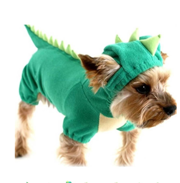 Halloween Dinosaur Costume for Dogs product image