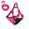 Vest-Style Dog Walking Rope product image Vest-Style Dog Walking Rope product image