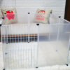 Transparent Pet Fence for Dogs product image