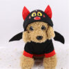Halloween Outfit product image Halloween Outfit product image