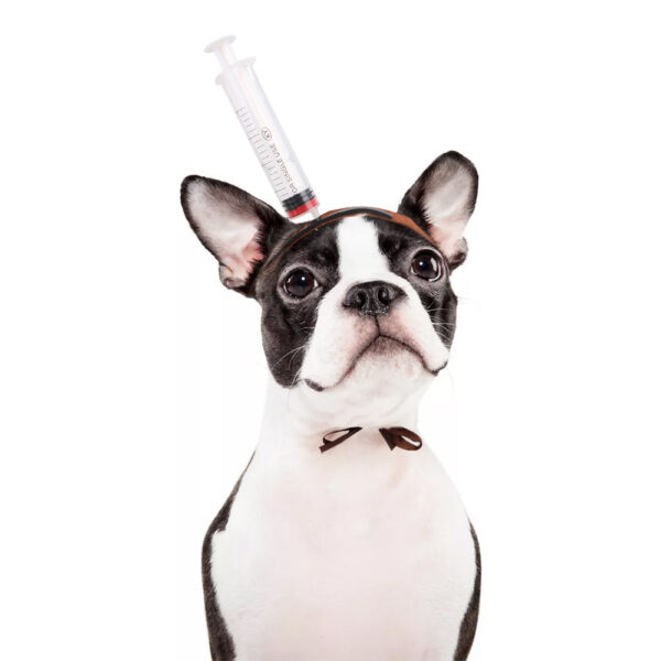 Halloween Pet Headwear product image Halloween Pet Headwear product image