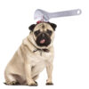 Halloween Pet Headwear product image Halloween Pet Headwear product image