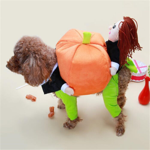 Pet Halloween Pumpkin Clothing Pet Halloween Pumpkin Clothing