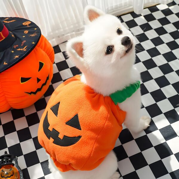 Halloween Pumpkin Costume for Dogs & Cats Halloween Pumpkin Costume for Dogs & Cats