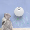 Cat Litter Box Odor Filter & Deodorizer product image Cat Litter Box Odor Filter & Deodorizer product image