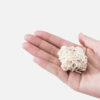 Doffer Tofu Cat Litter product image Doffer Tofu Cat Litter product image