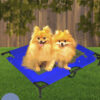 Foldable Raised Pet Bed product image Foldable Raised Pet Bed product image