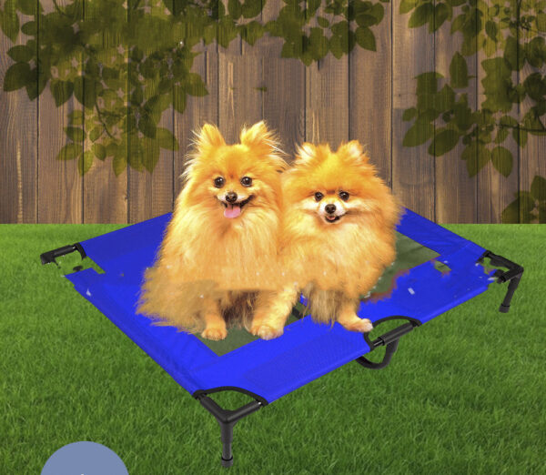 Foldable Raised Pet Bed product image Foldable Raised Pet Bed product image