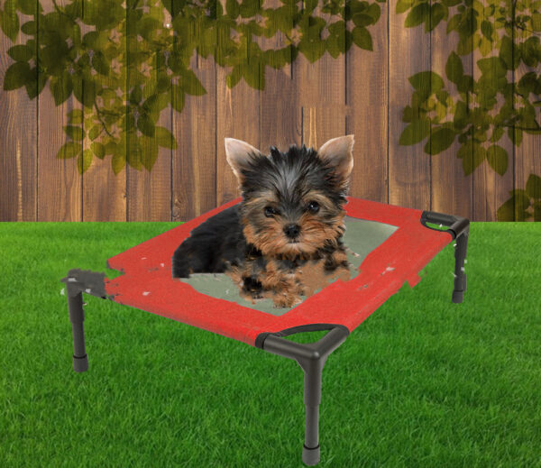 Foldable Raised Pet Bed product image Foldable Raised Pet Bed product image