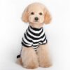 Skull Dog Halloween Sweater product image Skull Dog Halloween Sweater product image