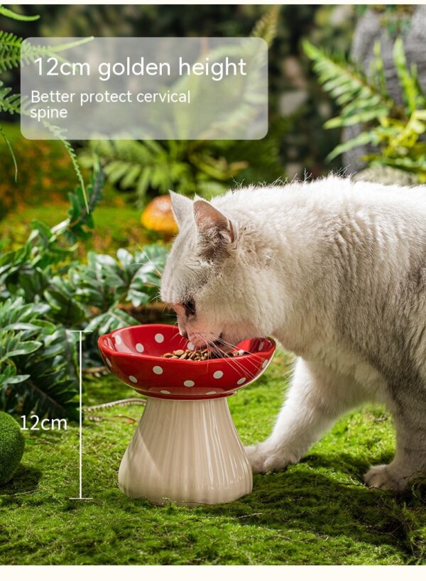 Raised Mushroom Cat Bowl product image Raised Mushroom Cat Bowl product image