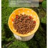 Raised Mushroom Cat Bowl product image Raised Mushroom Cat Bowl product image