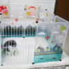 Transparent Pet Fence for Dogs product image