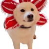 Halloween Dog Hat product image Halloween Dog Hat product image