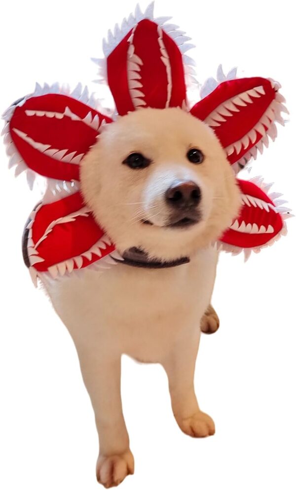 Halloween Dog Hat product image Halloween Dog Hat product image