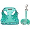 Adjustable Dog and Cat Harness Vest with Leash product image