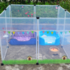 Transparent Pet Fence for Dogs